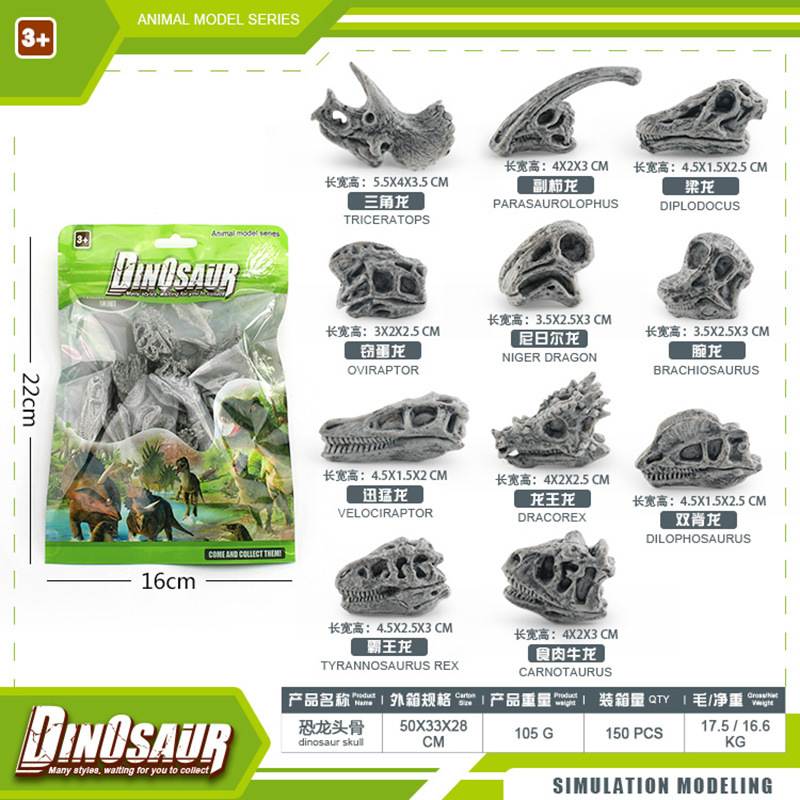 BL - 1246d cráneo de dinosaurio 105g