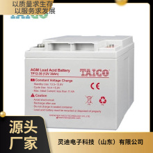 TAICO��늳�TP12-38 12V38AH�����Դ �C����늙�