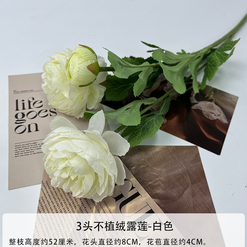 플로킹 화이트 없음