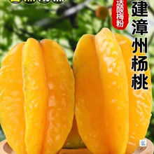 福建漳州甜杨桃5斤新鲜水果应当季红扬桃五角星阳桃现摘整箱包邮