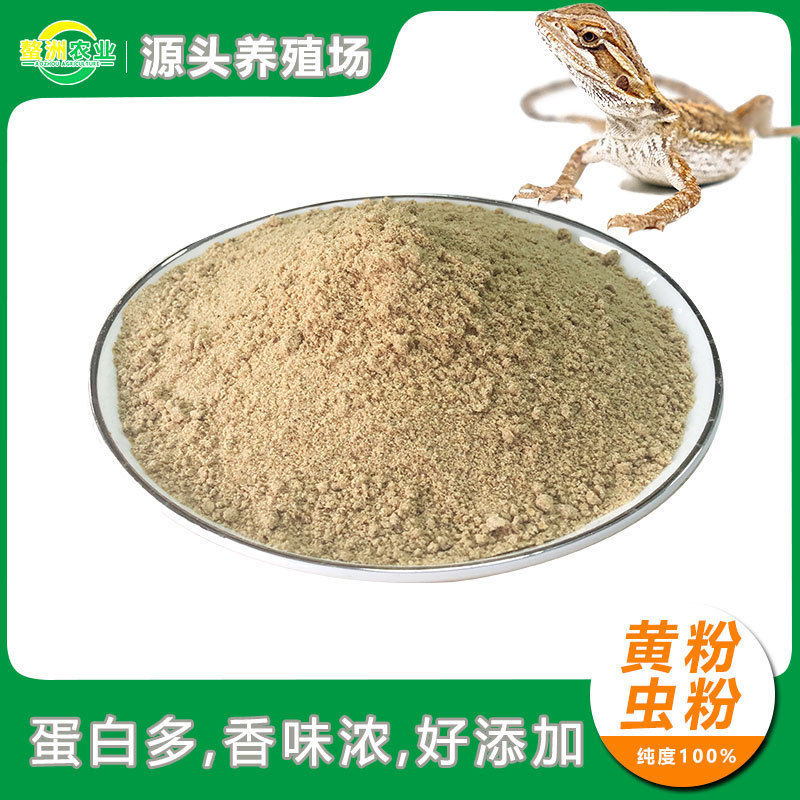 Mealworm Powder, Yellow Mealworm Powder, Animal Feed Raw Materials, Insect Protein Powder, Gecko, Bearded Dragon, Lizard Feed Grade