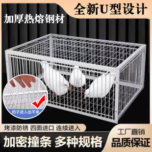 ����\���ӻ\���ӻ�j�Tֻ�M����ײ�T���\�F�\���\�Ԅ��T������׽