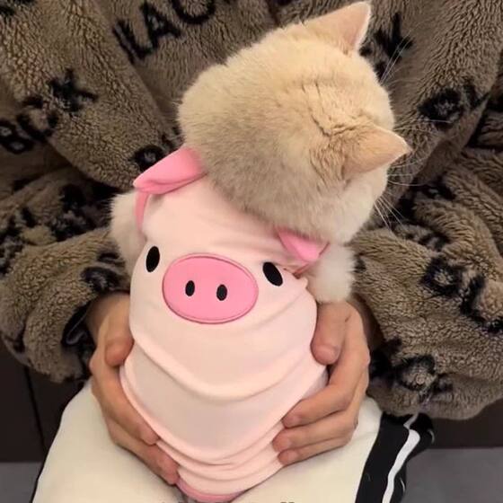 Cat Clothes Summer Anti-hair Spring and Summer Cute Gold Gradual Muppet Cat Bitter Bear Dog Pet Thin Vest