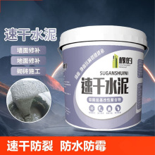 水泥地面修补防水瓷砖填缝剂快干补漏砂浆堵漏王高强裂缝漏水速干