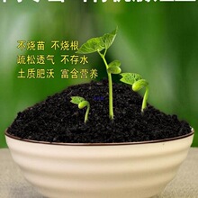 �ЙC�I�B��ͨ���͸�ֳ�����������Nֲ���N���N������������m����