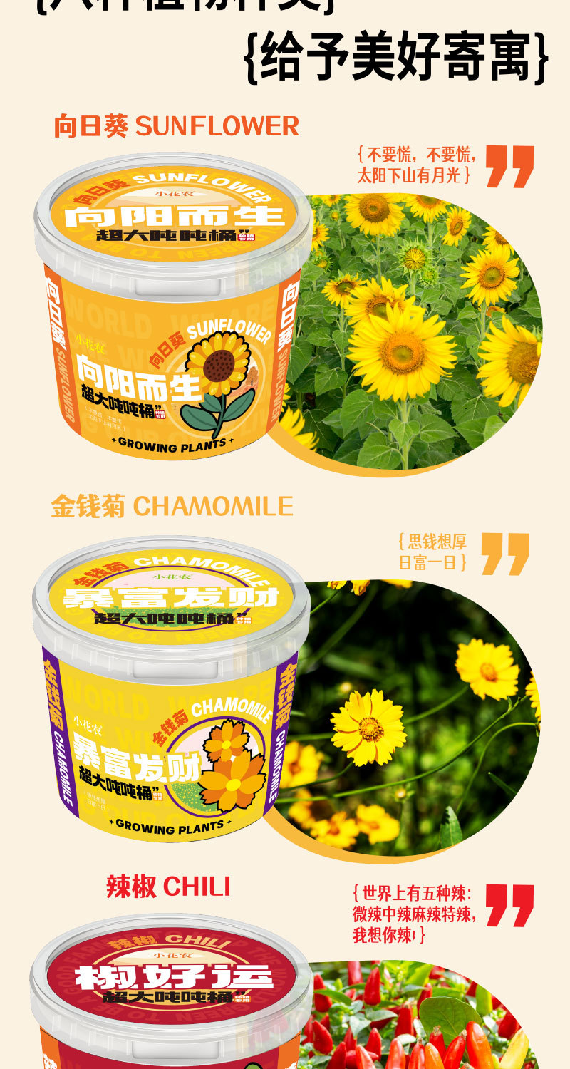 种植吨吨桶转曲_02