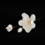 家居仿真挥发精油干花