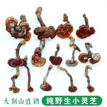 ș250g ֥`֥֦r؛ؼҰС`֥ ֥