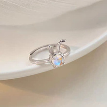 �¹�ʯ���ӽ�ָ���yŮ2025���¿��������Фʳָ��С���OӋָ�h