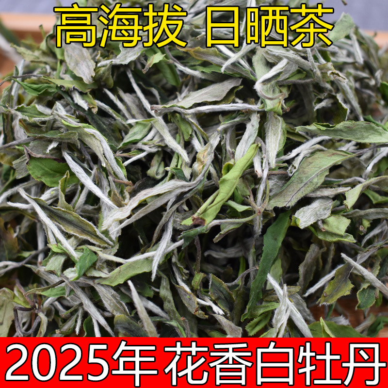 2025年春茶福鼎白茶白牡丹散茶高山花香牡丹新茶叶500g批发厂家