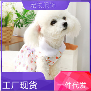 Spring and Summer Dog Clothes with Full Strawberry Print Vest, Thin and Breathable Teddy Bichon Schnauzer Pet Factory Can Be Shipped on Behalf of Others