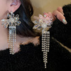 Crystal with tassels, silver needle, advanced earrings, light luxury style, flowered, silver 925 sample, European style, bright catchy style