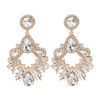 Earrings, accessory, European style, suitable for import