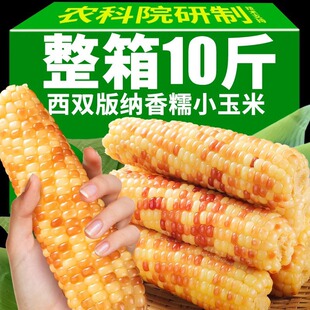 5��������p��{��ŴС������հ��b��Ŵ���׌W���ϰ�������װ�