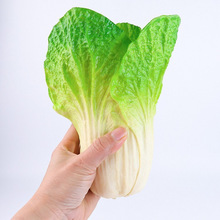 �����߲˼�ˮ��ģ���b[�����߃�ͯ��ߔ[�O�������t�������Ϲ�