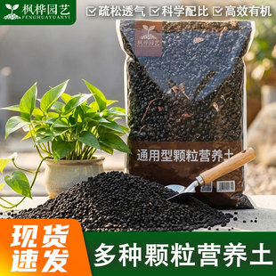 ���⌣���w�����������M��Ҭ������������͸��ظ������L������