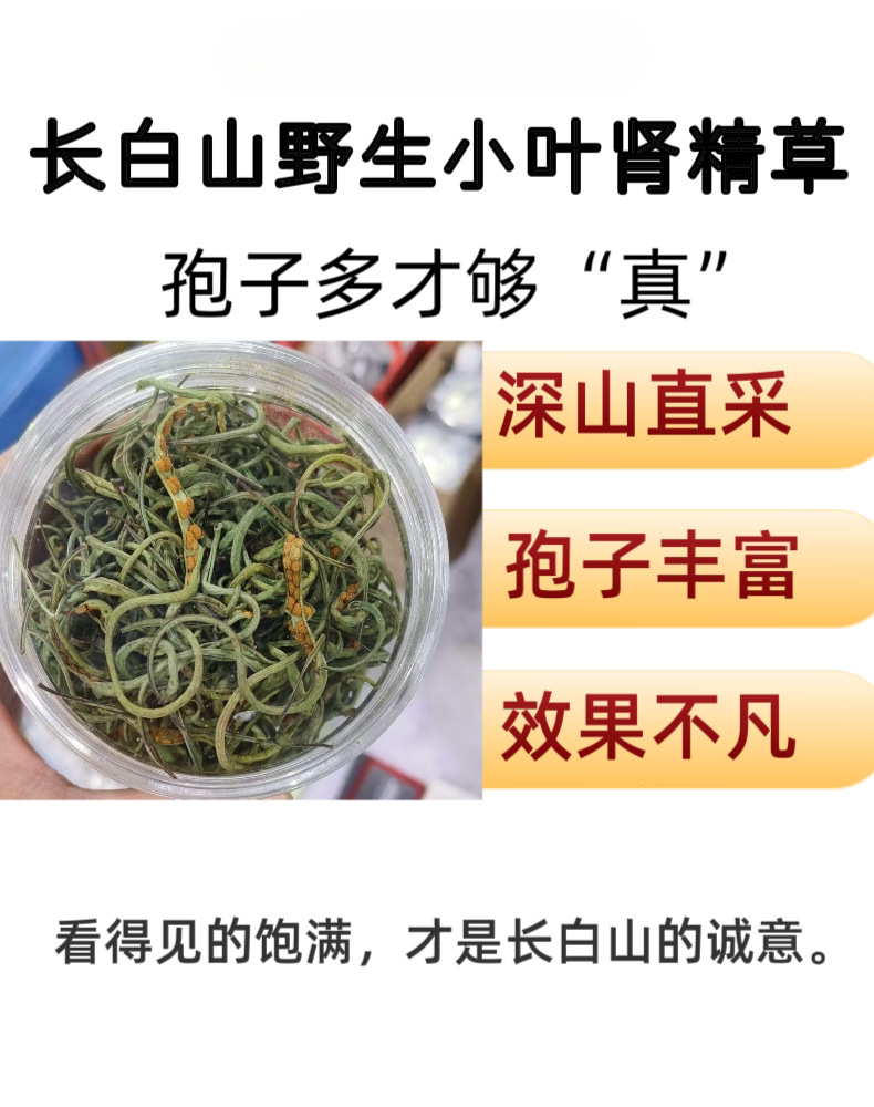 Shen Jing Cao Kidney Essence Tea Wild Dried Herb for Daily Infusion 100g with Goji overview