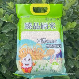 ���l�|����������5�������ז|��������հ��b�������׈A������