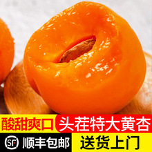 �^��������S�ӽ����Ӯ������rˮ�������̫����ӏS���l