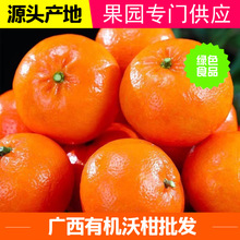 �ָ����r�����֭���ڏV�����x�ָ��ٽ��ӬFժ�F�l���@����ֱ��