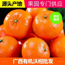 块茎类;柑桔;番薯类