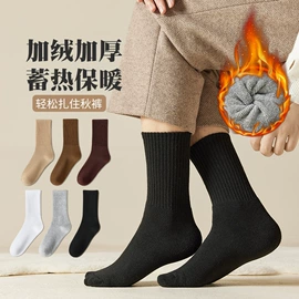 运动休闲棉袜;船袜、隐形袜;堆堆袜