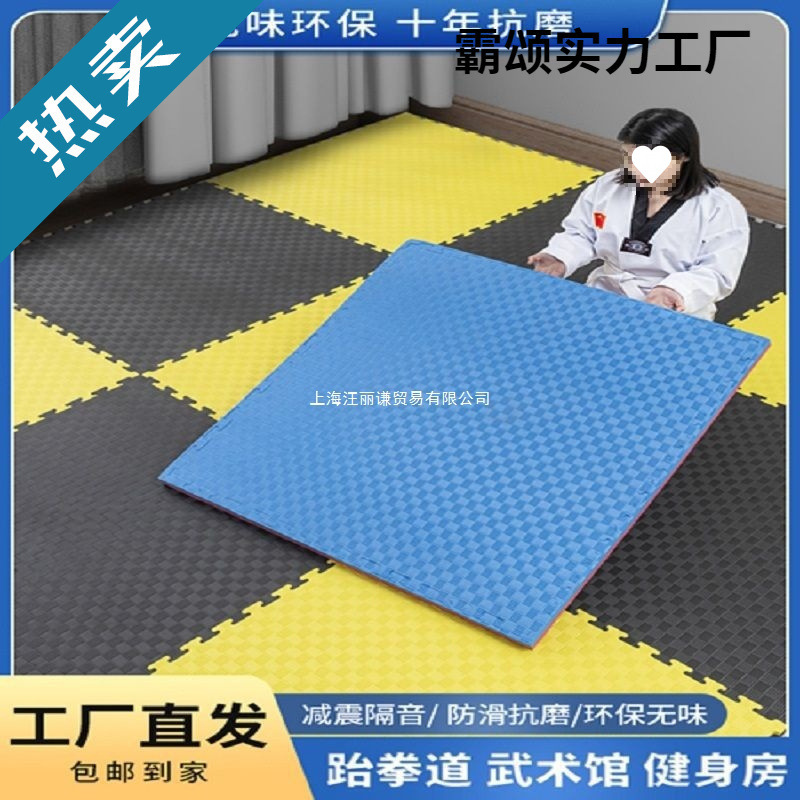 Professional Environmentally Friendly Taekwondo Thickeneded Training Sanda Dance Fighting Kindergarten Hip-Hop Martial Arts Foam Special Mat