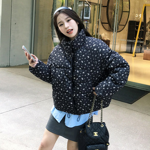 2024 Winter New Floral Down Cotton-padded Coat Women's Short Style Small Men's Lickup Collar Milk Huhu Thickened Sweet Bread Suit