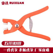 Qӿɹߴlpblצĸ[ΰbٿ