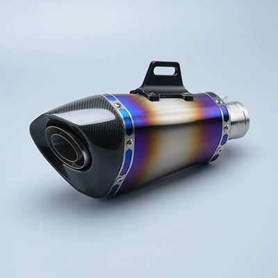 Logo, Titanium Alloy, Carbon Fiber, Motorcycle exhaust pipe - tx-big-money-carbon-head-half-blue