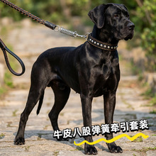 八股牵引绳大中型犬狗链宠物用品金毛德牧拉布拉多遛狗绳子拴狗绳