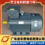 东莞全铜三相ye3-355m1-4-220kw电动机