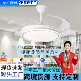 风扇灯;工业风扇