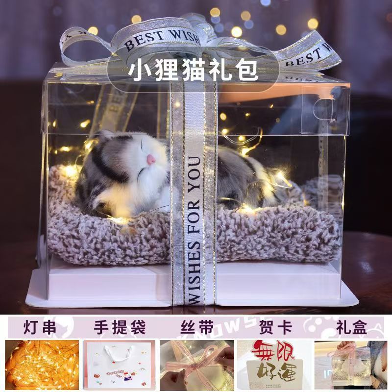 Llamará juguetes de simulación adornos de carbón de bambú modelo de gato adornos juguetes de peluche muñeca caja de regalo de cumpleaños