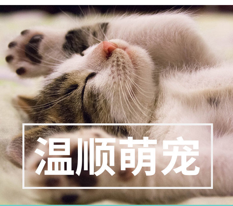 b565d3db-81cd-4a56-87a2-4729b7b78c83.jpe