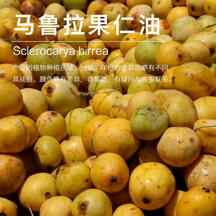 ��³�������� ��³���� ��ѹ��ե ��³�������� ������ԭ��������