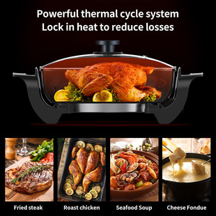 2005���늻�偟���һ�w偼���늟��ELECTRIC FRYING PANsokany