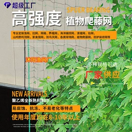 其他塑料网;农业塑料网;网球网、球柱