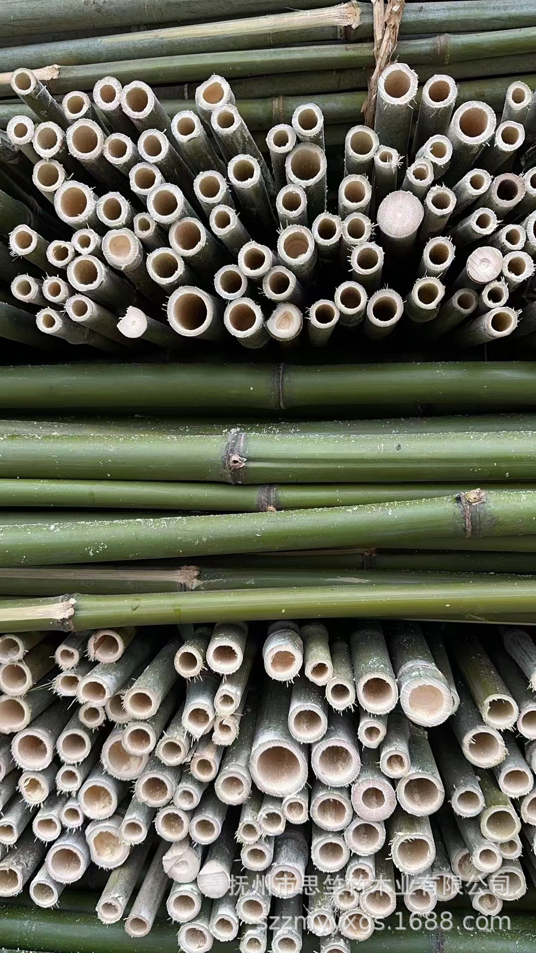 微信图片_20240221142411