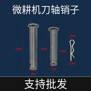 ����΢���C���186F�����r������΢���C�N��8&times;40 8&times;50�i�N�SR��