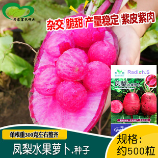 �������P��ˮ���}���N�Ӽt�ļtƤ�}���N���ļ����̨�����߲˷N��