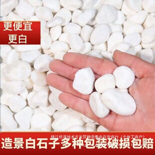 ��ʯ�����l�·䁵��b�ͥԺ�̨�쾰С�^�@�ֻ��@���^ɫ�Z�Ѵ��l