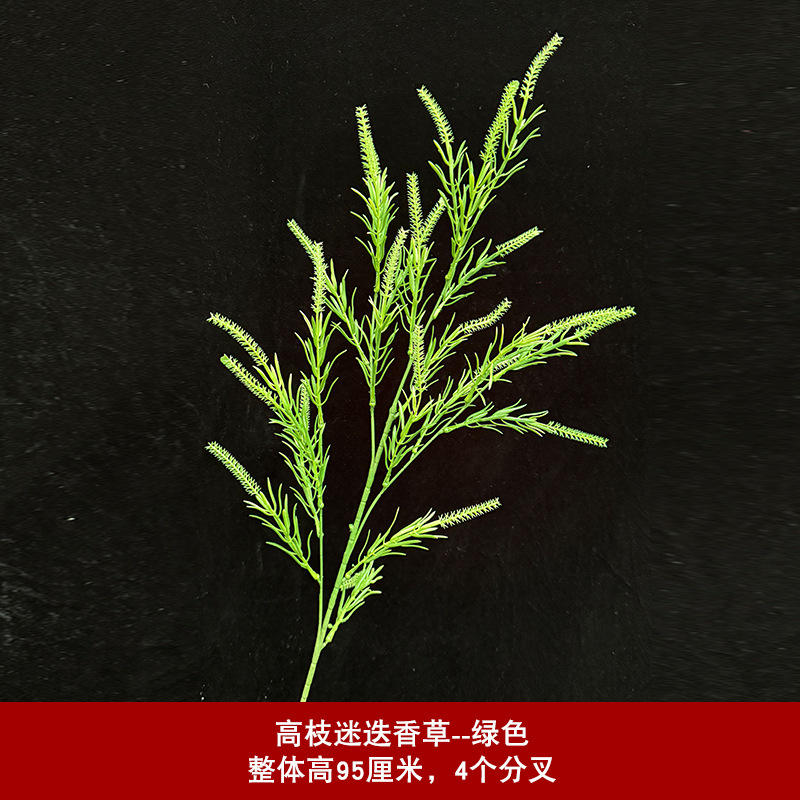 높은 가지 로즈마리 - 녹색