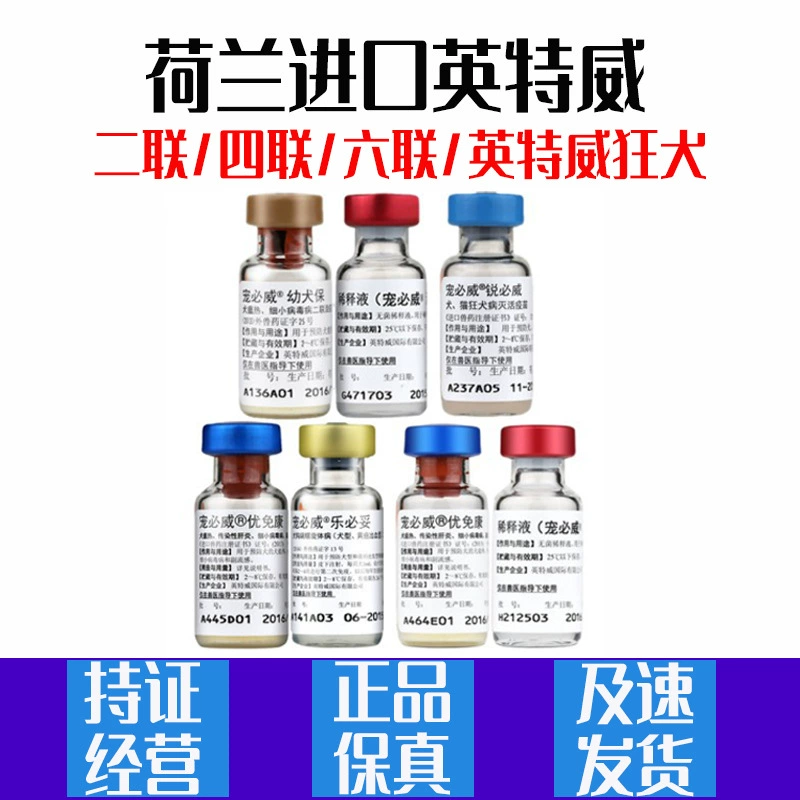 Голландский импорт двухзвенной четырехзвенной шестиступенчатой вакцины для собак Intway Pet Biwei, профилактика парвовируса