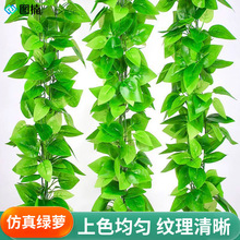 lüٻb{ˮܵٗlړ~G}bGֲ