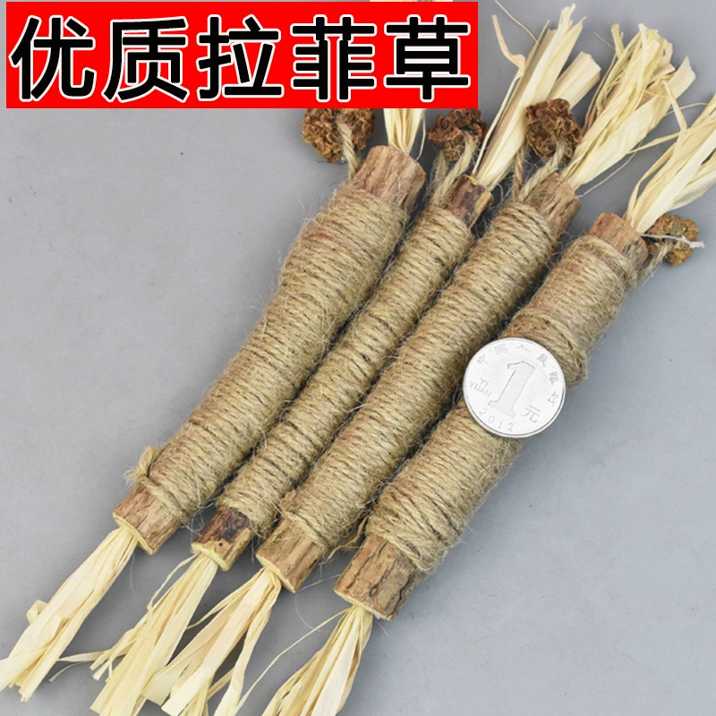 Лафитовая желчная фруктовая комбинация кошка игрушка кошка палочка новая деревянная палочка