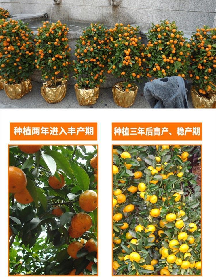 b40d7fc9-db4b-4a30-ba76-c12c27