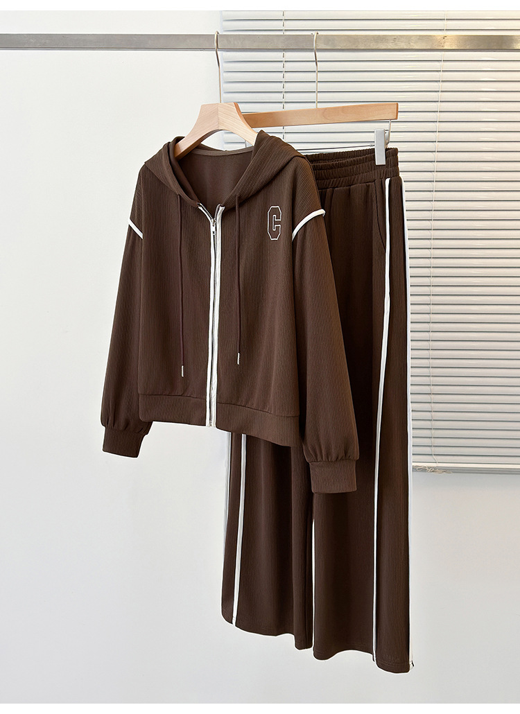 Vêtements pour femmes Printemps Nouveau haut à capuche pour femmes de grande taille + pantalon à jambe droite Ensemble deux pièces décontracté réduisant l'âge et couvrant la viande_voghion.com