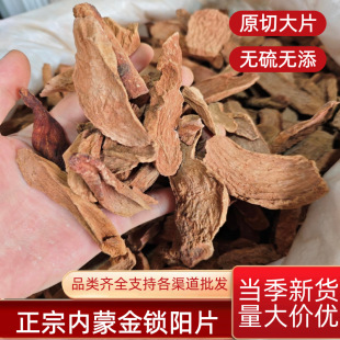 ���i�������Ƭ���l���ɳĮ�˅��ݾ����������a��ș�������خa