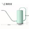 Hydrolate, multicoloured teapot, plant lamp, sprayer, 1200 ml
